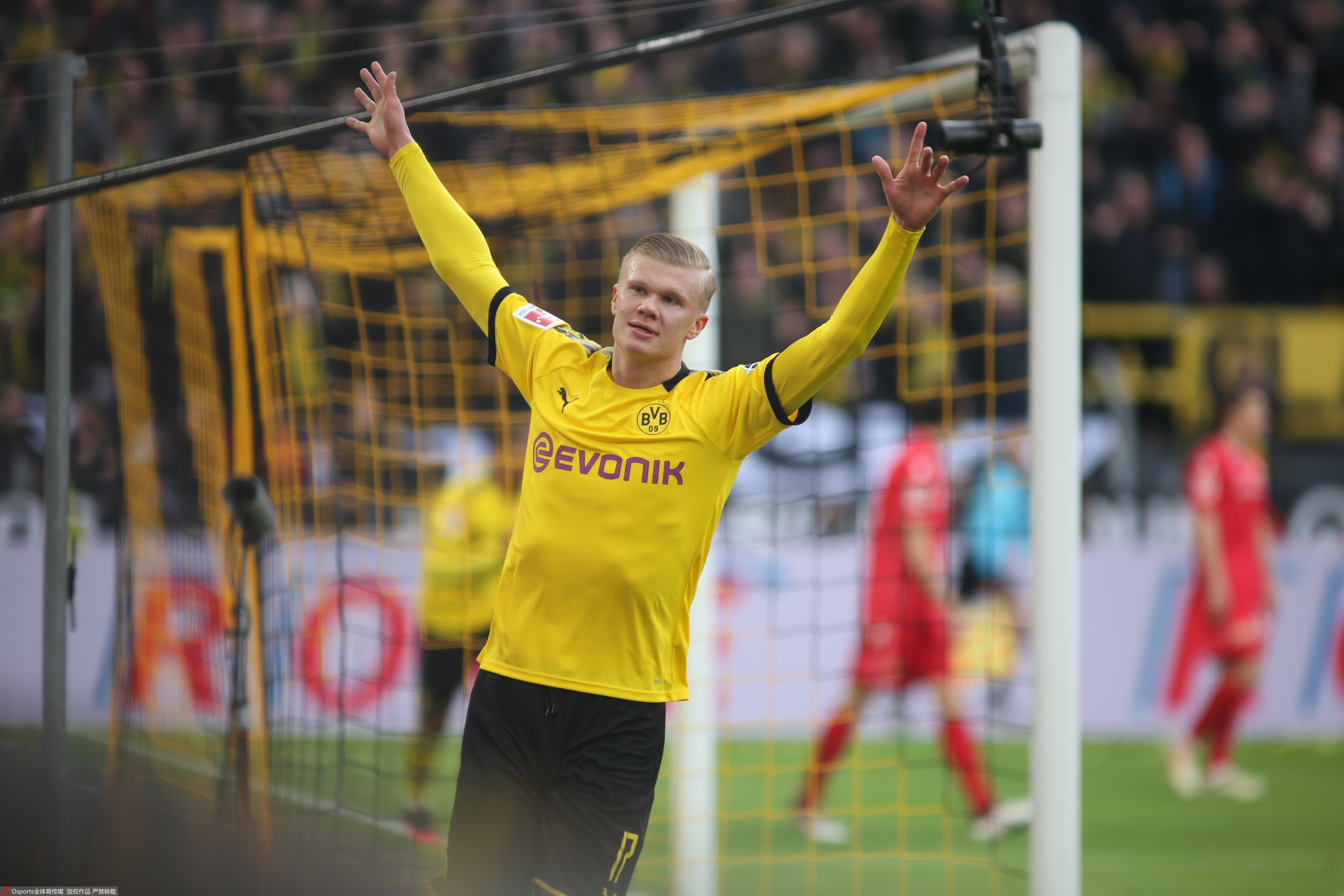 的含金量才 的含金量才