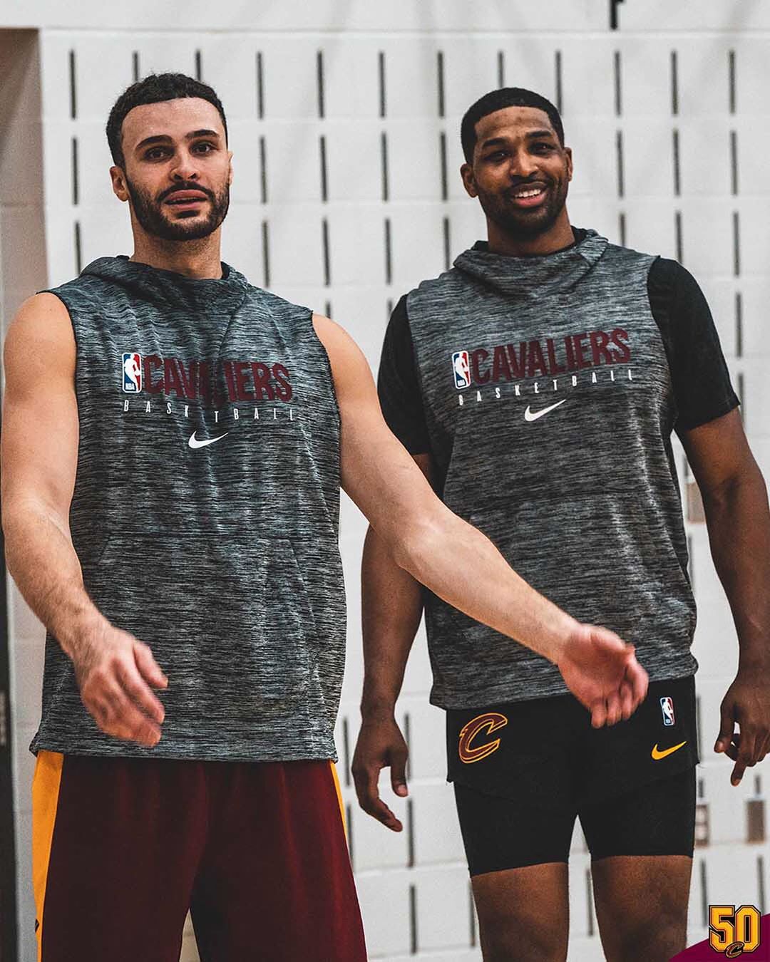 数高胜率候 数高胜率候